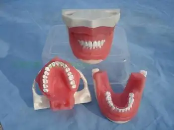 Модел за извличане на стоматологична практики при разглеждането на устната кухина модел за преподаване на стоматологичен кабинет